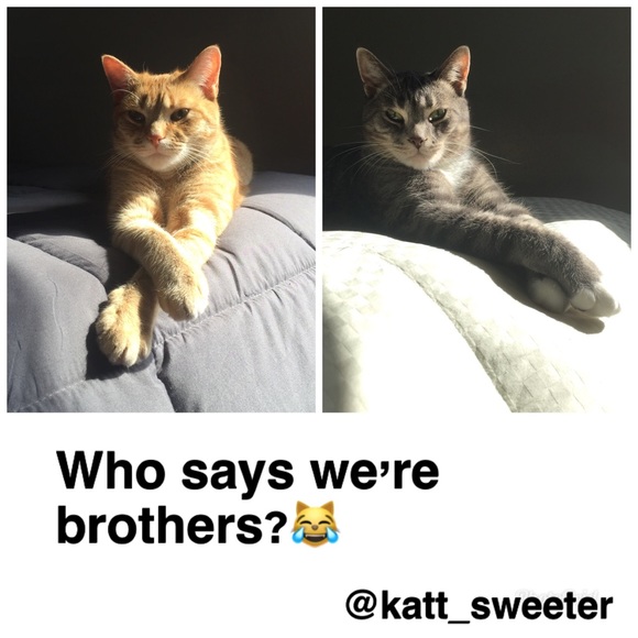 Hi! ๐๐ผIโm Katt. Offers always welcome! ๐ค - Picture 8 of 16